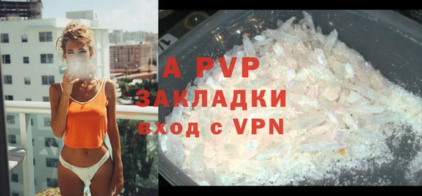 крисы Балахна